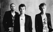 Muse