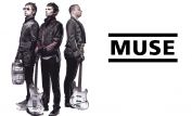 Muse