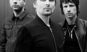 Muse