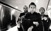 Muse