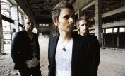 Muse