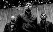 Muse
