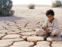 Naji Abu Nowar