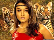 Namrata Shirodkar
