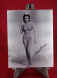 Nancy Kovack