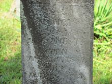 Nancy Stephens