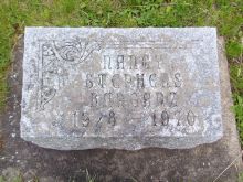 Nancy Stephens