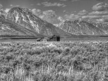 Nancy Wolfe photo