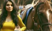Nandini Shrikent