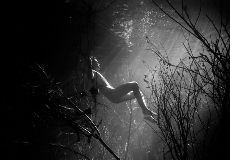 Natasha Braier