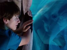 Nathan Gamble