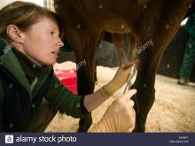 Nathan Lee Chasing His Horse