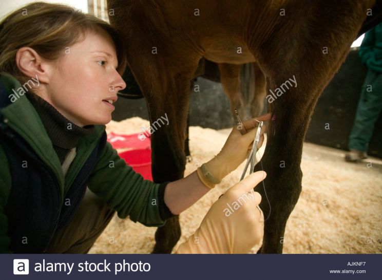 Nathan Lee Chasing His Horse
