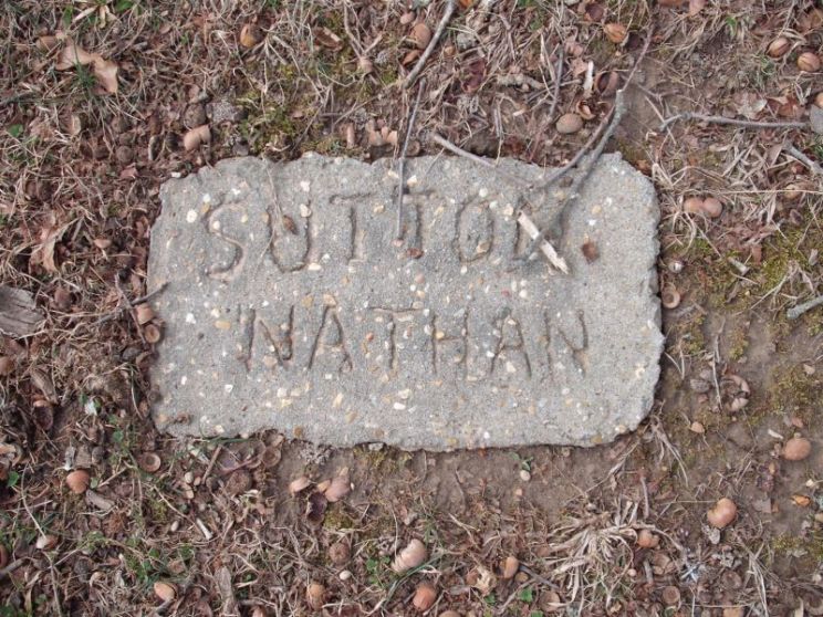 Nathan Sutton