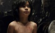 Neel Sethi