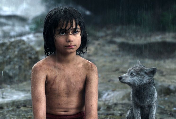 Neel Sethi