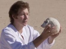 Neil Breen