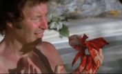 Neil Breen