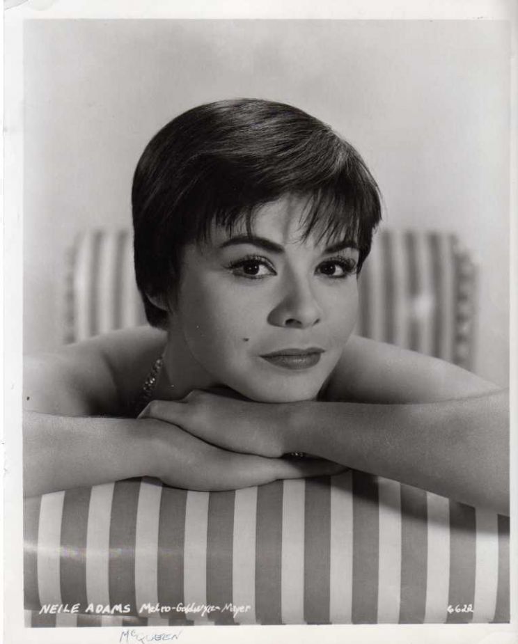 Neile Adams