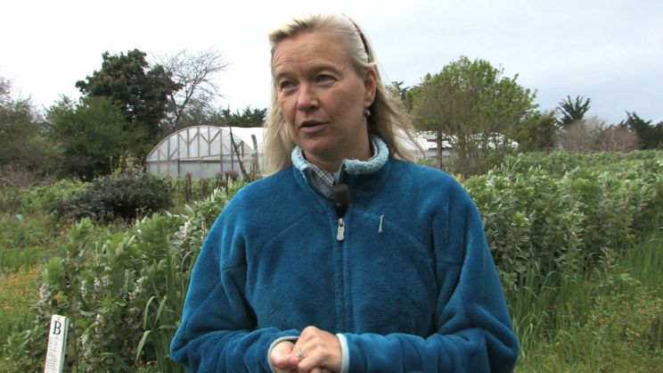 Nell Potts