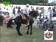Nestor Serrano