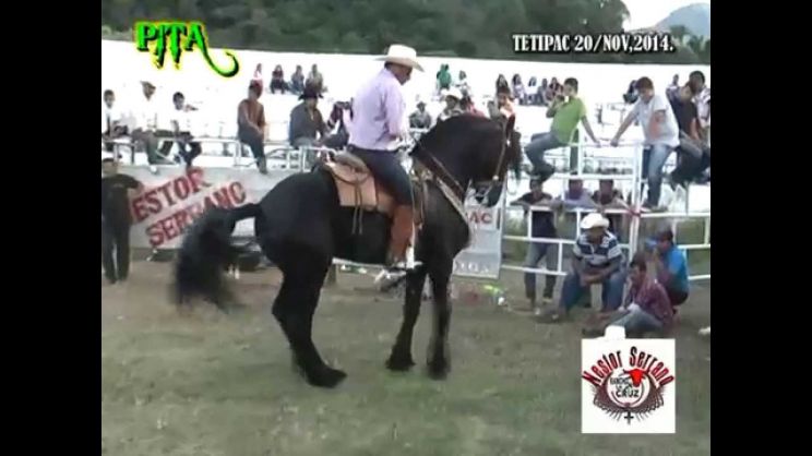Nestor Serrano