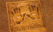 Niall Toibin