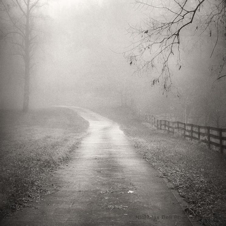 Nicholas Bell