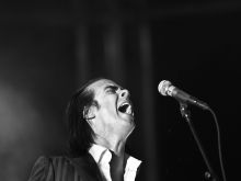 Nick Cave