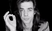 Nick Cave