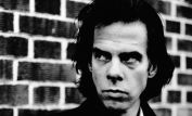 Nick Cave