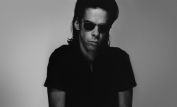 Nick Cave