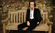 Nick Cave