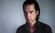 Nick Cave