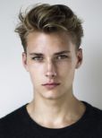 Niclas Gillis