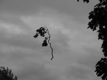 Nicola Graham #1750561 picture (Landscape Medium)