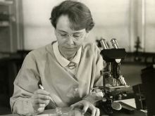 Nicola Stewart