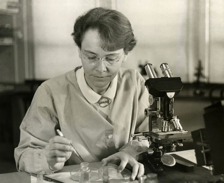 Nicola Stewart
