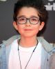 Nicolas Bechtel