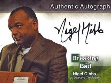 Nigel Gibbs