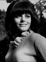 Nina Wayne