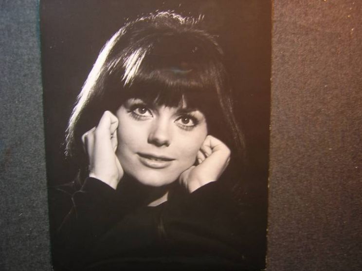 Nina Wayne