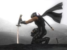 Ninja