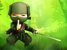 Ninja
