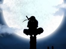 Ninja