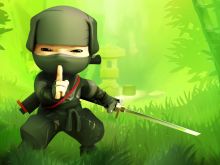 Ninja