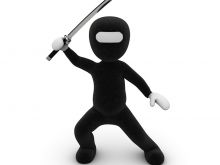 Ninja