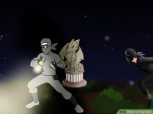 Ninja