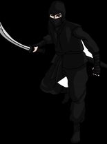 Ninja