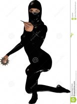 Ninja